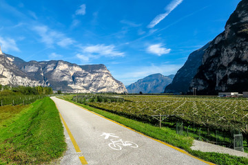 Bicycle path with grape plantation on the side, and rocky mountains in surrounding, Merano, Italy