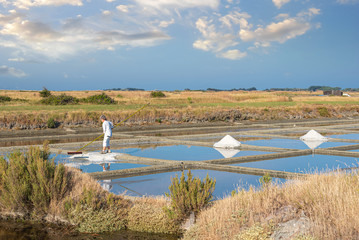 Marais Gaillard Noirmoutier 05