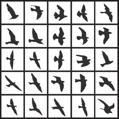 Printsilhouette of a flock of flying birds