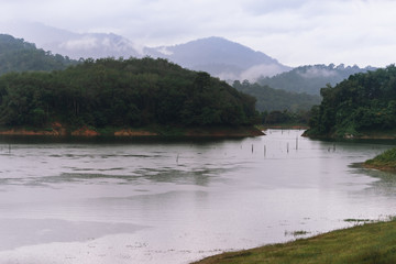 Fototapeta na wymiar Forest and water landscape at Hala-Bala Wildlife Sanctuary near Bang Lang Reservoir in Yala, Thailand.