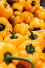 Pile of yellow fresh paprika peppers, food background