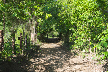 a dirt path lead into a forest. It's a begining of a treking route. there are two treker heading to the forest.