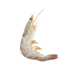 Shrimp of raw prawn seafood ,uncooked isolated white background