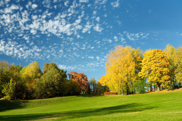 Colorful city park scene in the fall with yellow foliage. Beautiful autumn scenery in Vilnius, Lithuania.