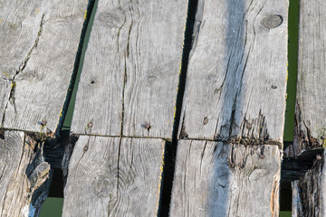 Gray and wheathered wooden surface.