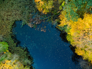 Birds eye view of autumn forest and a small lake. Aerial forest scene in autumn with orange and yellow foliage. Fall scenery in Vilnius, Lithuania.