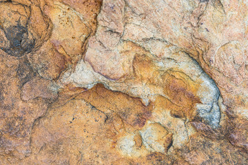 The surface of the river rocks with cracks