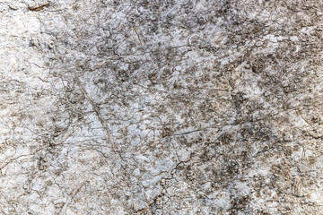 stone pattern or texture background