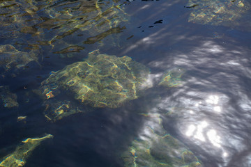 texture of the transparent sea illuminated by the sun where you can see the rocks below the surface.
