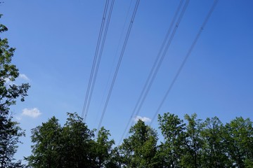 Stromleitungen über Baumwipfeln