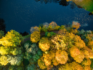 Naklejka na ściany i meble Birds eye view of autumn forest and a small lake. Aerial forest scene in autumn with orange and yellow foliage. Fall scenery in Vilnius, Lithuania.