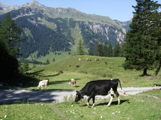 Natur und Berge