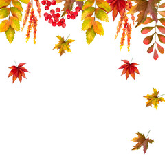 Watercolor autumn card with fallen leaves. Isolated object on a white background.