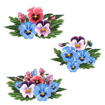 Set of pansies bouquet isolated on a white background