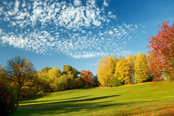 Colorful city park scene in the fall with yellow foliage. Beautiful autumn scenery in Vilnius, Lithuania.