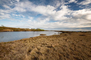 Norwegen Südnorwegen Berg Wandern