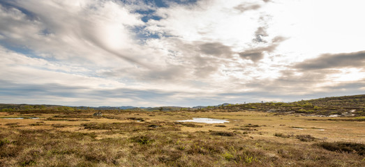 Norwegen Südnorwegen Berg Wandern