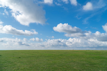 Fototapeta premium Green Field And Blue Sky Making A Perfect Horizon 