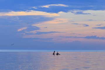 Obraz premium Late cloudy summer evening at the sea.