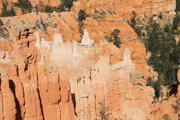 Bryce Canyon dans l'Utah aux Etats-Unis