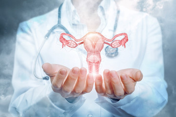 The doctor shows the uterus .