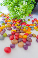 scattered multicolored candies and green plant with small blooms on a white background