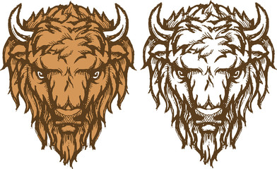 Bison Head Sketch © Draco77
