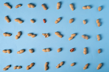 Peanuts flat lay minimal on blue background backdrop food nut texture copy space top view