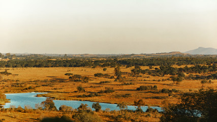Fototapeta na wymiar Panorama of savanna in Zimbabwe