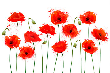Fototapeta premium Red Poppy flowers background. Vector illustration