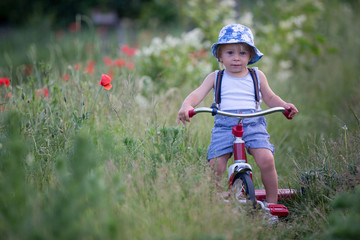 Happy beautiful toddler child, holding bouquet of wild flowers , riding retro tricycle