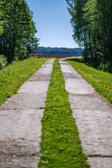 wooden plank footh path boardwalk in green foliage sourroundings