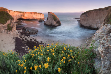 Panoramic view over Shark Fin Cove (Shark Tooth Beach). Davenport, Santa Cruz County, California, USA. Sunset in California - waves and sun hitting these beautiful rock formations with flowers.