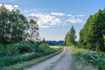 romantic gravel dirt road in countryside in summer green evening