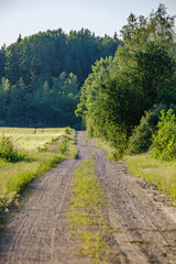 Fototapeta na wymiar romantic gravel dirt road in countryside in summer green evening