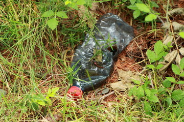 bouteille en plastique jetée dans la nature