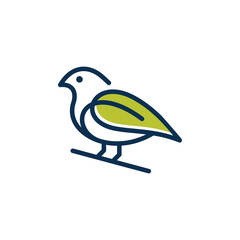 Bird logo design vector.
