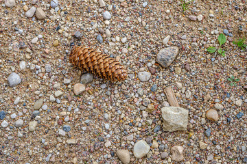 gravel dirt road texture with sand and pebbles