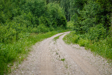 Fototapeta na wymiar romantic gravel dirt road in countryside in summer green evening