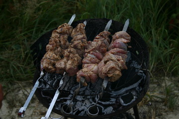 shish kebab on skewers on grill