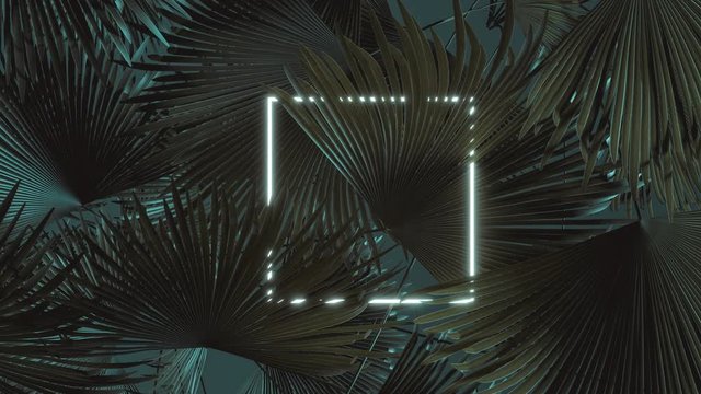 animation of flickering square neon light with tropical leaves. Flat lay of minimal nature style concept