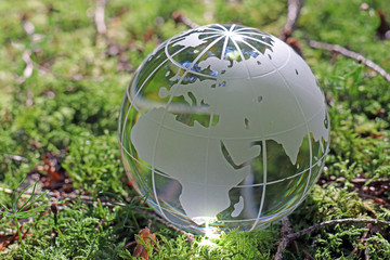 Weltkugel aus Glas im Wald