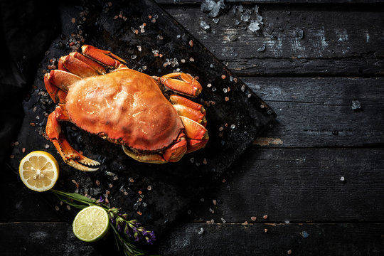 Sea delicacies. Fresh seafood. Crab.