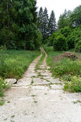 Wandern um Böttingen / Alter Schäferweg /Heuberg