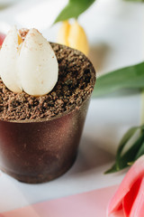 Creative oreo flower pot dessert on background with tulips