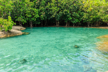 Beautiful crystal clear Emerald Pool, famous natural swimming place and tourist destination in the Krabi, Thailand.