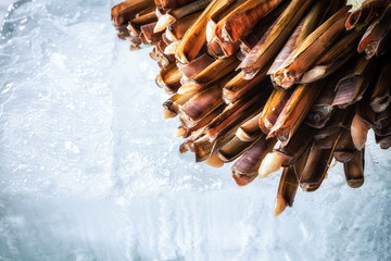 Sea delicacies. Fresh seafood. Sea finger © Voloshyn Roman