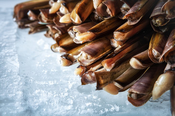 Sea delicacies. Fresh seafood. Sea finger © Voloshyn Roman