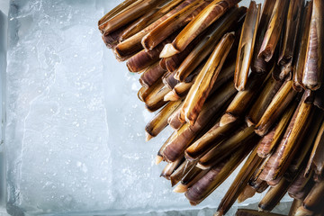 Sea delicacies. Fresh seafood. Sea finger