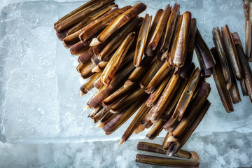 Sea delicacies. Fresh seafood. Sea finger